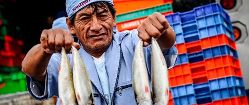 Comité de Pesca y Acuicultura de la Sociedad Nacional de Industrias (SNI)